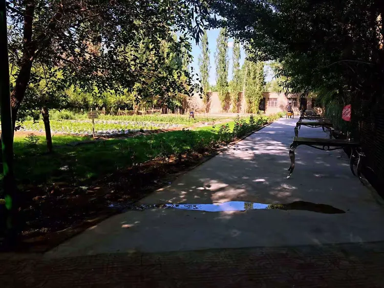 哈密九龙树农庄招聘