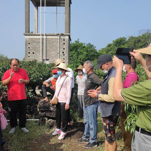 秀英区举办荔枝保果及科学施药施肥技术现场培训班（一）