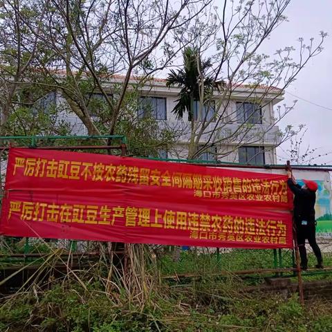 秀英区着力营造豇豆质量安全监管氛围