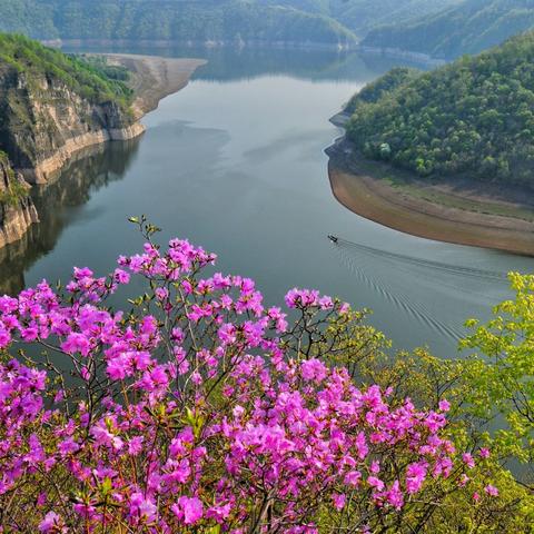 家在靖宇 --- 花开松花江畔