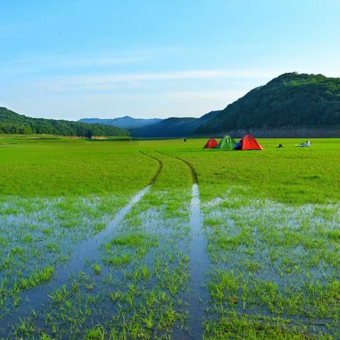 松花江畔大草原