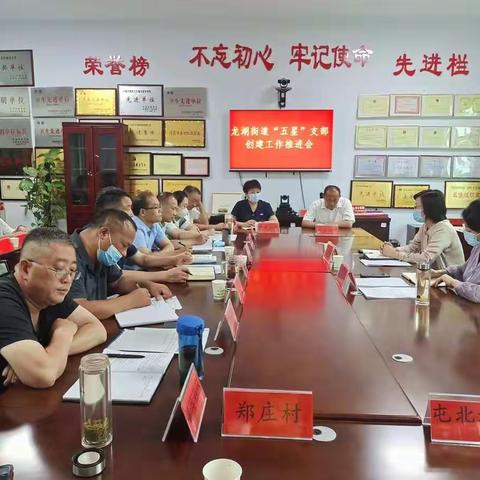 王丽君主任莅临指导龙湖街道“五星”支部创建工作推进会