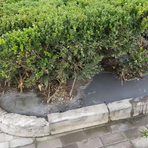 市供销社创建文明城市包街共建工作动态