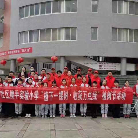 瑶琳社区携手实验小学开展“植下一棵树，收获万点绿”植树节活动