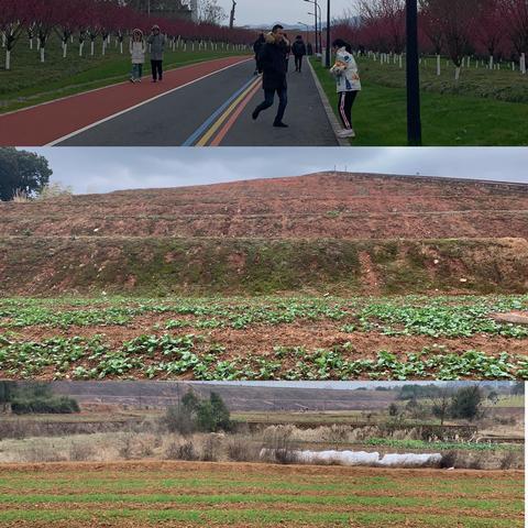 绣湖中学   703班  8号  刘千惠