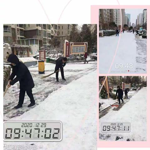 💖领秀城C区冬季扫雪篇💖