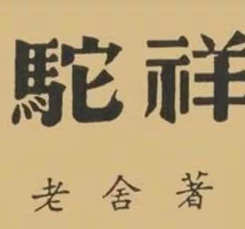 和读书有个约会——邙岭二中七二班小组读书纪实