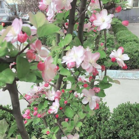 让阳光多一点，让快乐多一点——邙岭二中特岗教师培训感悟