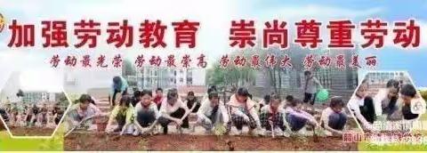 【清溪镇学校】脚沾泥土 手撷芬芳----劳动课，我们这样上（种植篇之十二）