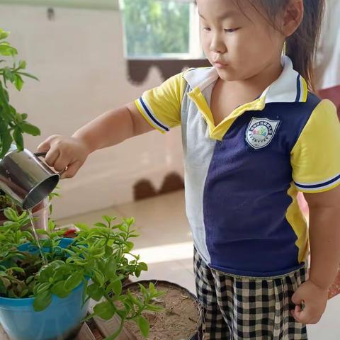 🌿小角落，大自然🌿博雅幼儿园蕾一班