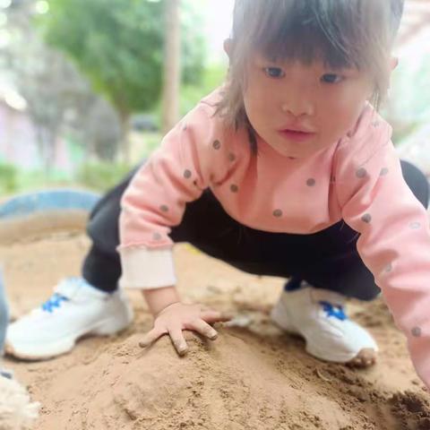 博雅幼儿园苗一班⏳小小一粒沙，乐趣无限大⌛