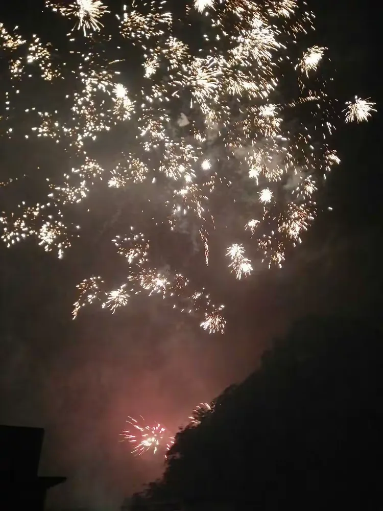 2017年跨年夜的烟花，完美极致的绽放，璀璨了夜空，点燃了新一年的梦想！2017,我们一起优雅地绽放