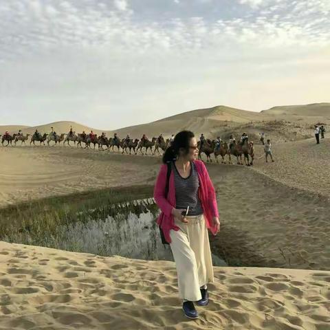 新疆行（副本）