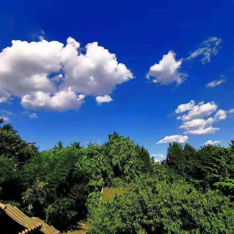 《让校园更洁净》我们在做。