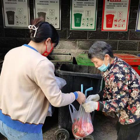 等驾坡街道盛世芳洲小区垃圾分类日报