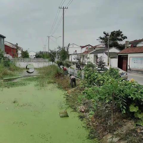 【新时代文明实践 铜山在行动】马坡镇九段村清理环村河道