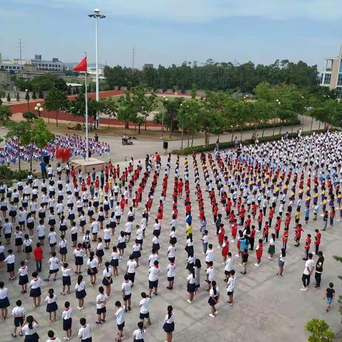 深沪镇华海小学2019年招生工作意见