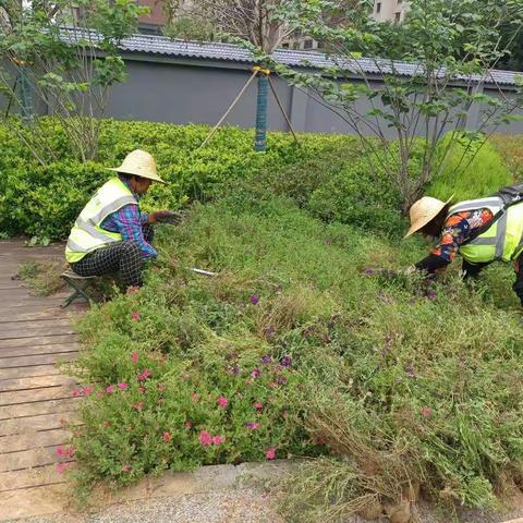 【曲江大明宫遗址区】城市绿心 | 遗址区周边绿化之 秋季补栽篇