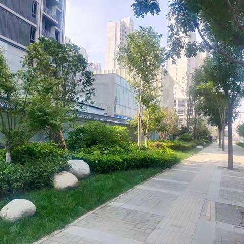 【曲江大明宫遗址区】城市绿心 |  秋季栽种好时机  文园公司庆十一