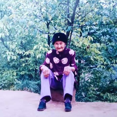 又是一年桂花季，清清雅香忆思忆