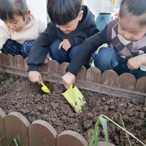 遇见最美秋天，播种最美时光----亢村镇中心幼儿园秋季种植主题活动记录