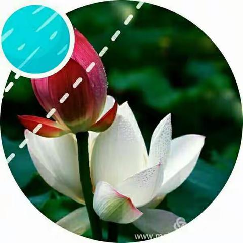 100名家名作大会展（021号~040号）