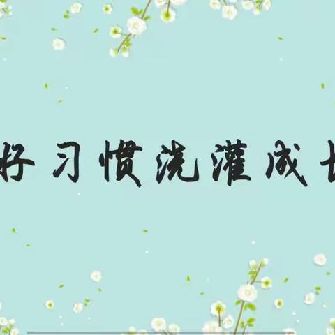 汇习惯之小流，成学生之将来——昌邑市柳疃镇辛安小学习惯培养成果汇报