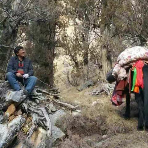 以生态管护员的身份 重新“执掌”草原