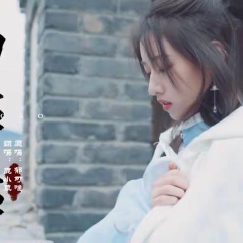 《如梦令·昨夜雨疏风骤》原创唯美英译—知否，知否？应是绿肥红瘦