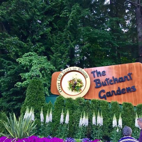 翡翠公主----阿拉斯加初识之旅（二）