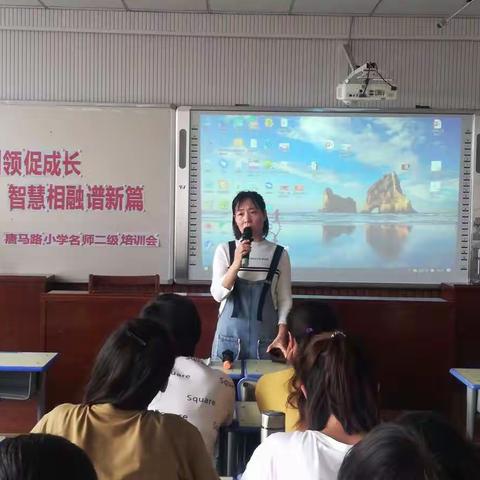 专业引领促成长 智慧相融谱新篇——唐马路小学名师二级培训活动