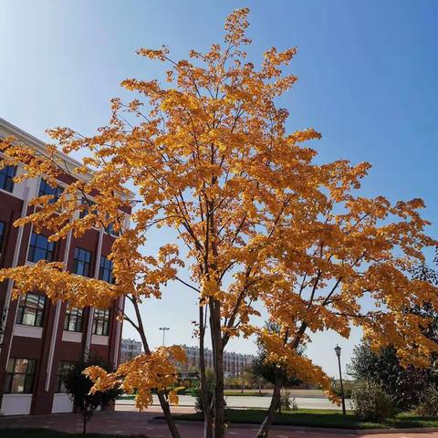 在疫期中学习的我们！