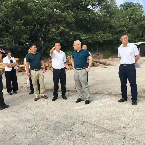 兰洋镇党委书记赖小灵陪同市委书记袁光平调研违建图斑处置情况