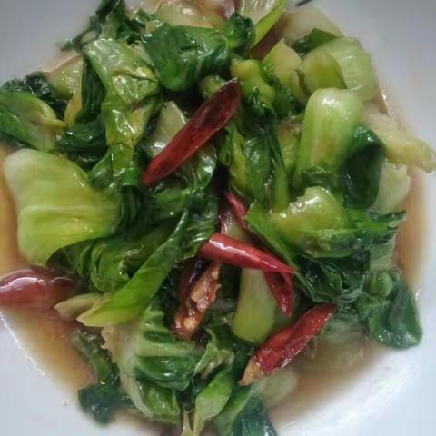 今天，我上镜了！