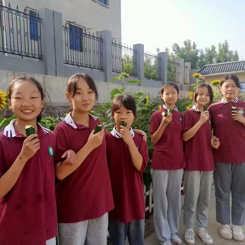 “享”劳动之乐，“悟”劳动之美—— 巩义市第八小学蔬菜采摘日纪实