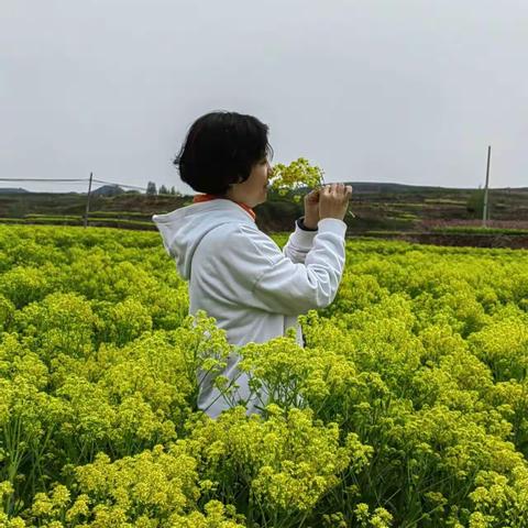 花开香飘药材村