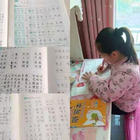 不负“双减”好时光，特色作业展风采一一记精河县第一小学学生寒假生活中期展示