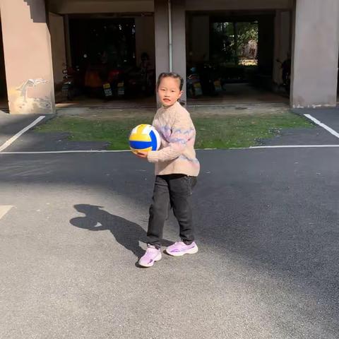 兔🐰