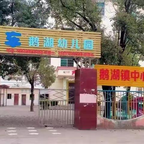 鹅湖大风车幼儿园把实际操作引入课堂，引领课程操作新模式