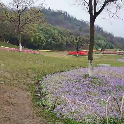 春天的景色