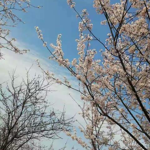 快乐假期　东方红小学429班—王晨莤、王承康