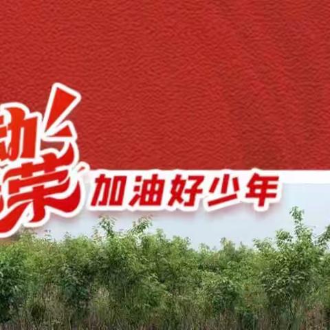【实小•劳动】做家务比技能 争做生活小达人——207班劳动教育活动