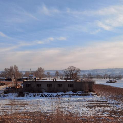 寒冷的冬，赴你的春