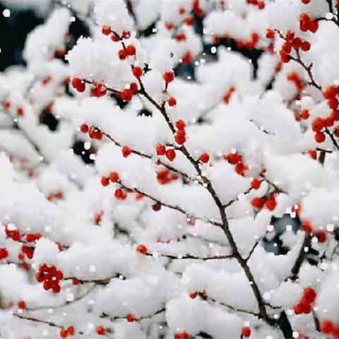 七律  大雪时节  三首