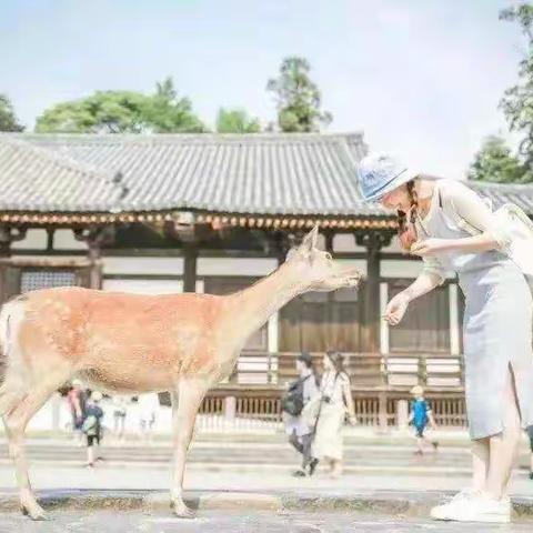 门票免费送！隆海度假山庄盛装升级！阳春首家鹿岛公园+恐龙谷12月18日盛大开园！