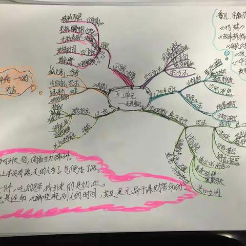 六年级上册第五单元知识点总结思维导图