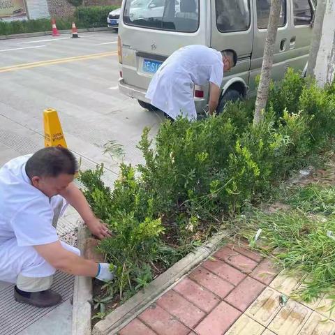 我院机关党支部开展义务劳动（二）