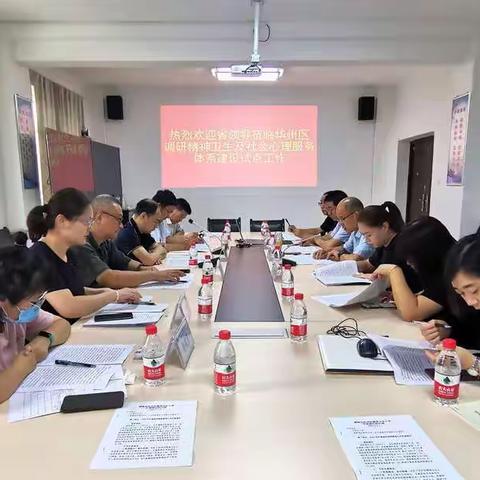 陕西省卫健委专家组莅临我区调研严重精神障碍管理及社会心理服务体系建设试点工作