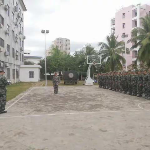 天涯区人武部组织春节前民兵应急分队战备拉动