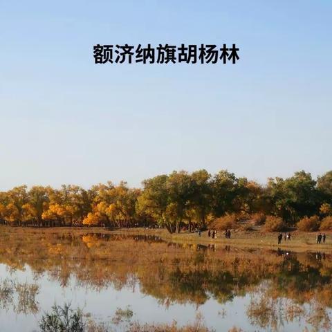 疫情有期爱心无限